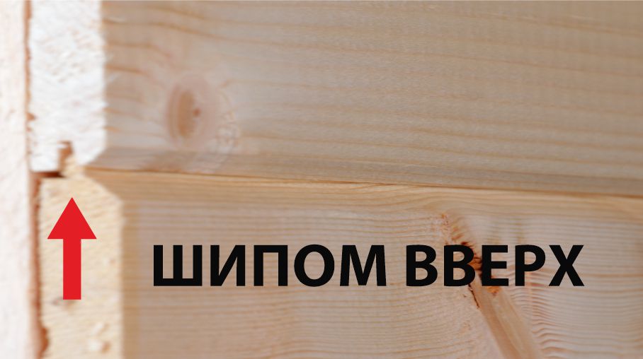 шип вверх.jpg