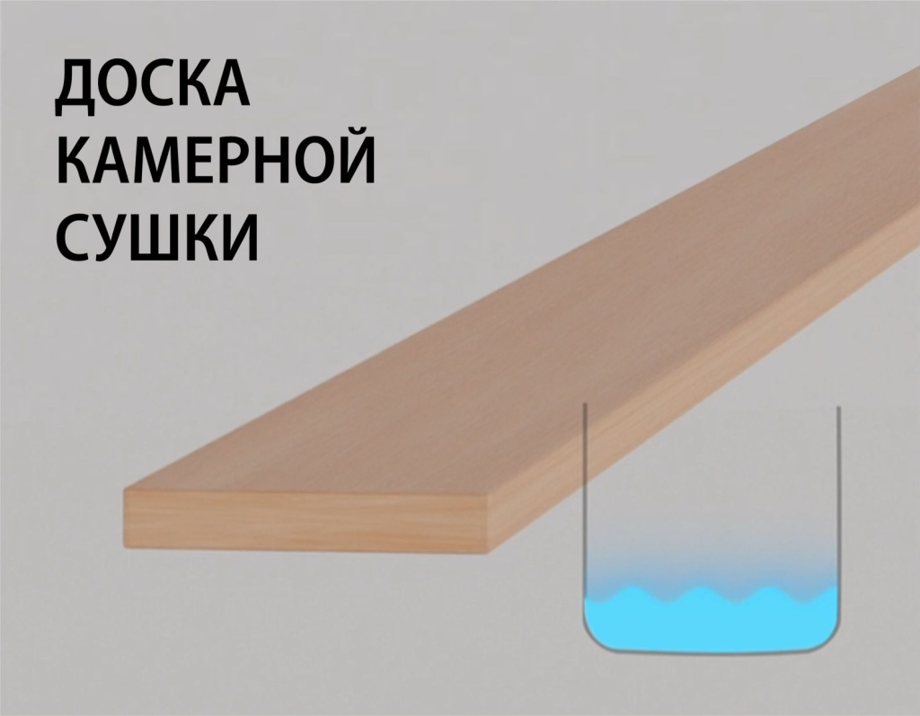 камерная.jpg