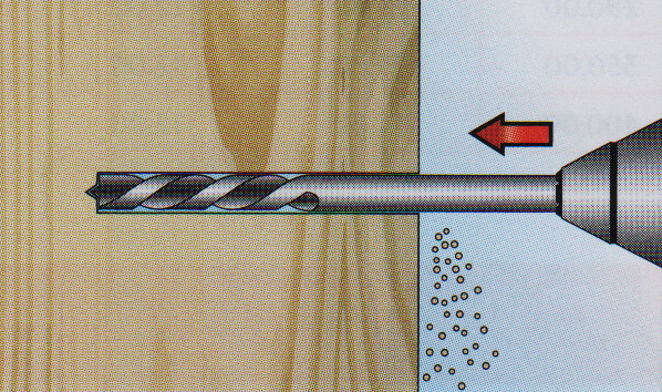 fig1.jpg