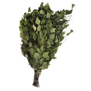 картинка Веник березовый в упаковке от магазина Румлес