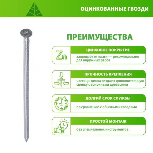 картинка Гвозди оцинкованные 2.5*60мм от магазина Румлес