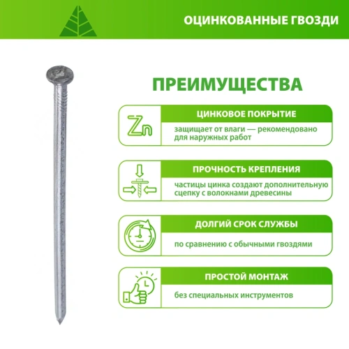 картинка Гвозди оцинкованные 2*40мм от магазина Румлес